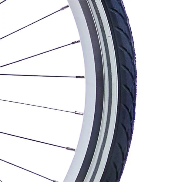 hollandbikeshop-220261022174304396891