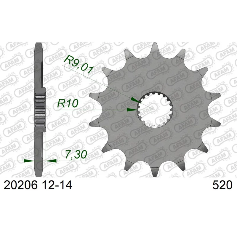 motoakcesoria20261023041910510458