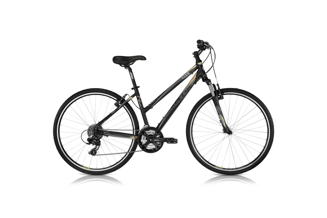 rowerzysta20261022122043333892