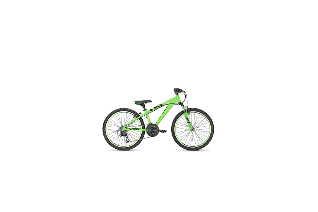 rowerzysta20261022134345349497
