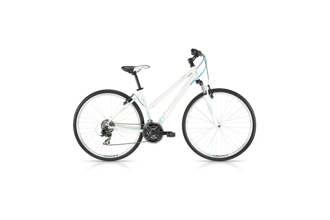 rowerzysta20261022140025352922