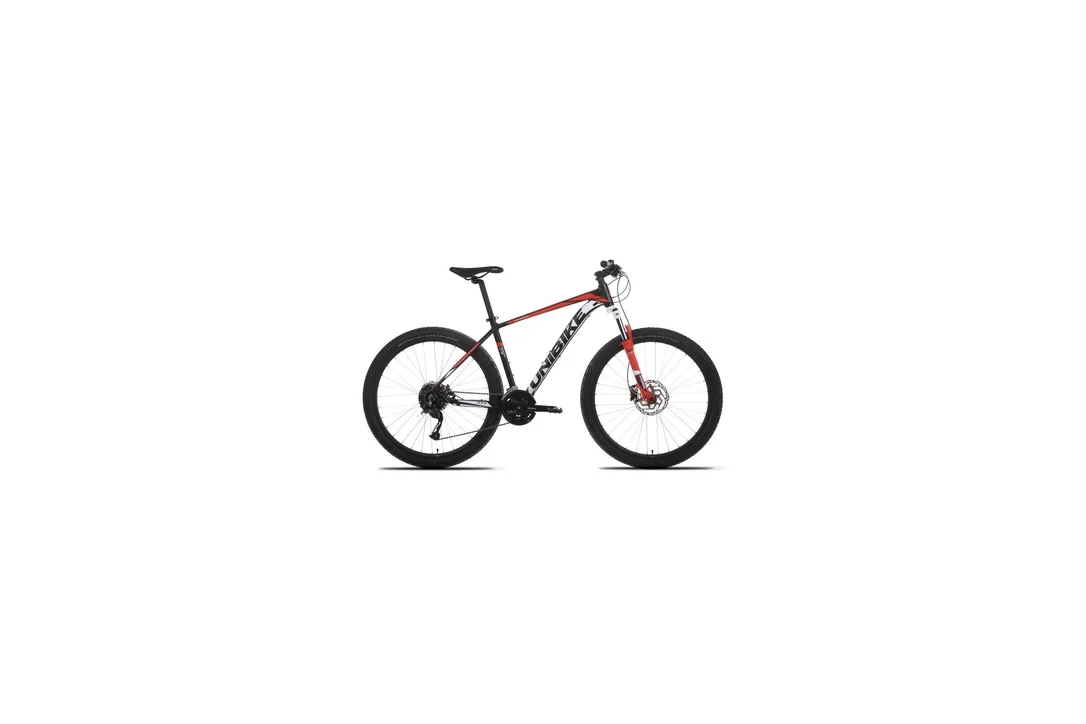 rowerzysta20261022164439384559