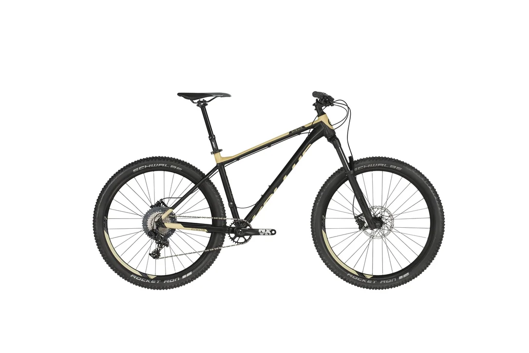 rowerzysta20261022170753389353