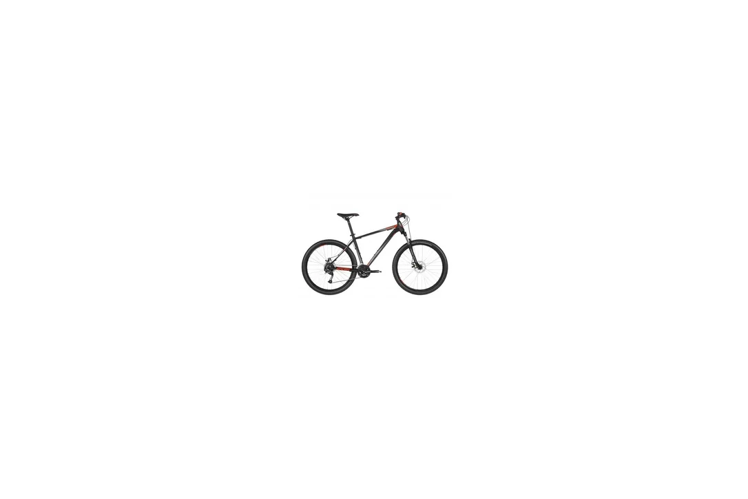 rowerzysta20261022170958389770