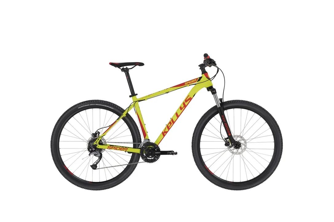 rowerzysta20261022175235398852