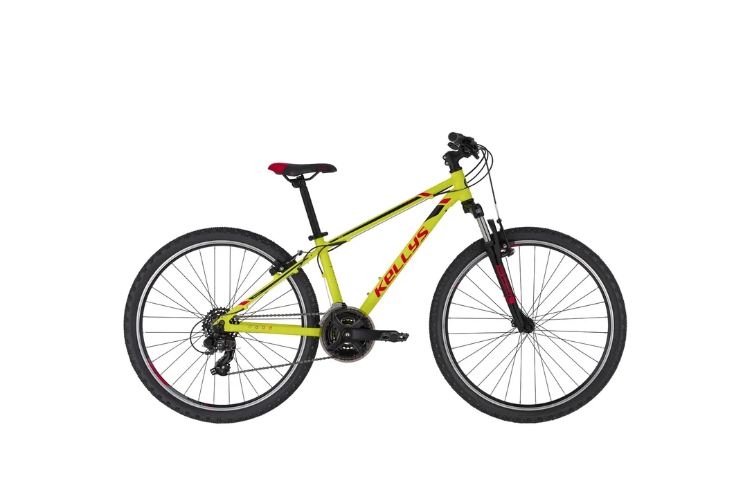 rowerzysta20261022175302398932
