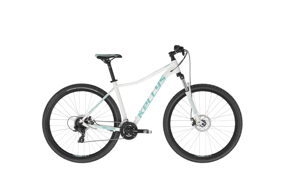 rowerzysta20261022193313418698