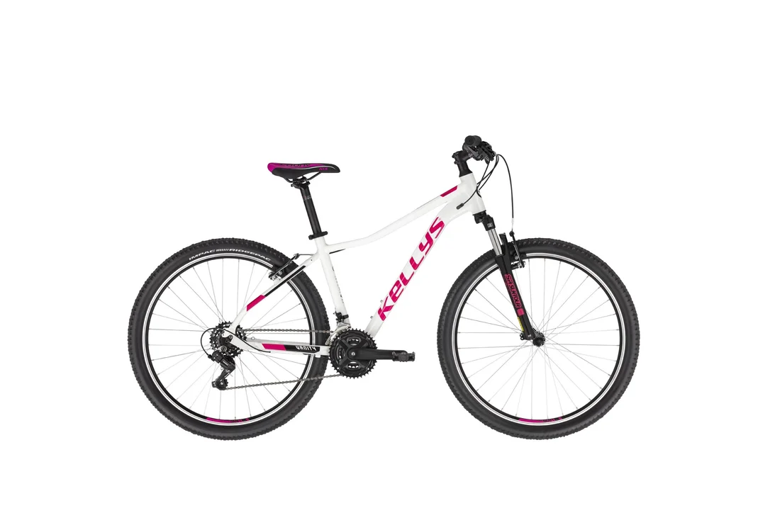 rowerzysta20261022193324418731