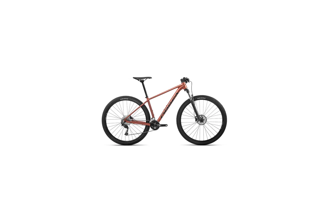rowerzysta20261022212653439723
