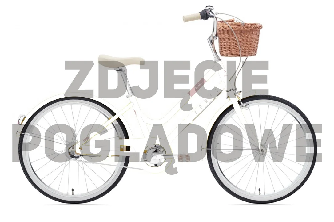 rowerzysta20261022221129447025