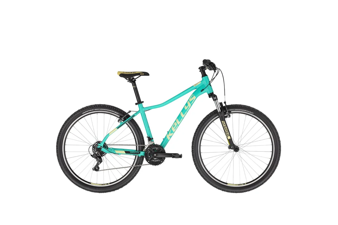 rowerzysta20261022235201463419