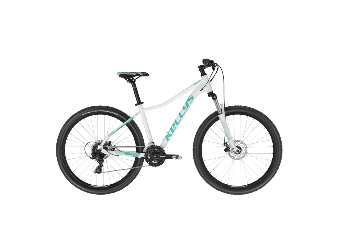 rowerzysta20261022235223463485