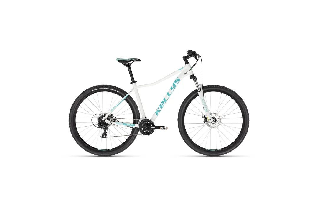 rowerzysta20261023005341473570