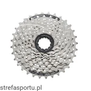 strefasportu20261022160821377479